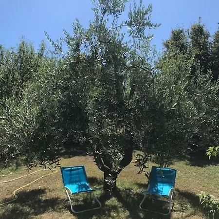 Casa Lory